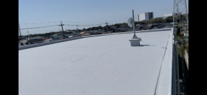 45グリンピアIMG_8814